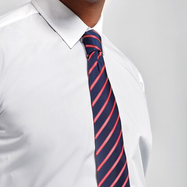 Premier Sports stripe tie PR784 Sports stripe tie Thumbnail